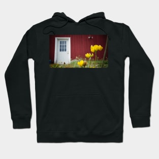 White Door on Red Building Hoodie